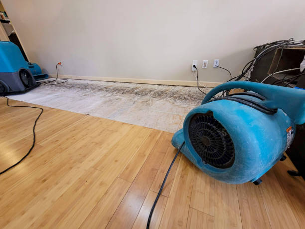 Professional Water Removal technician working in Blakeslee, OH